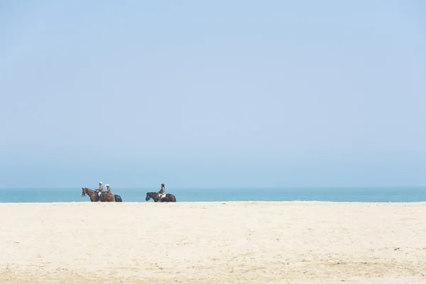 Cavalli sulla spiaggia — Foto Stock