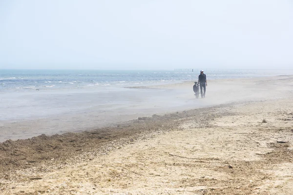 Un ciclista en la playa —  Fotos de Stock