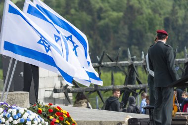 Mauthausen toplama kampı