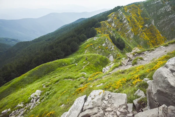 Heuvelachtig landschap — Stockfoto