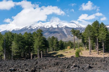 Güneşli bir günde Etna Dağı karla kaplı.
