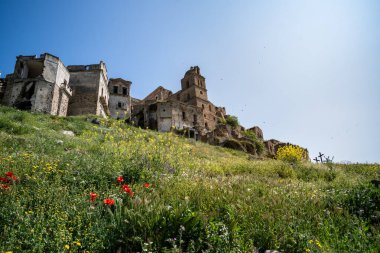 Craco, İtalya-25 Nisan 2025: Craco şehri güneşli bir günde harabe ve kır çiçekleri
