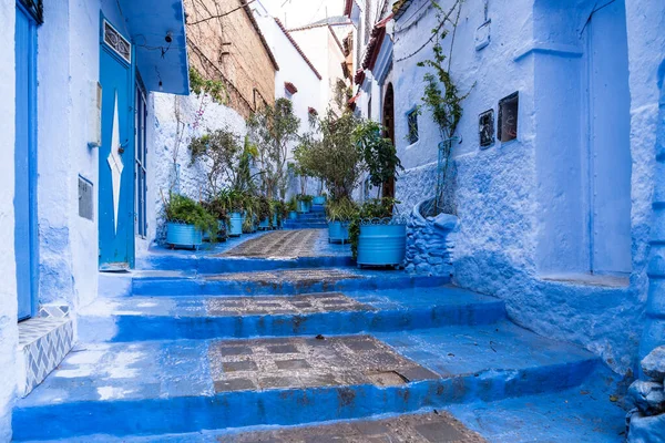 Chefchaouen, Fas - 26 Mart 2024: Bir Mart günü Fas 'ın başkenti Chefchaouen' de bir ara sokakta bitkilerle dolu bir dizi mavi tencere