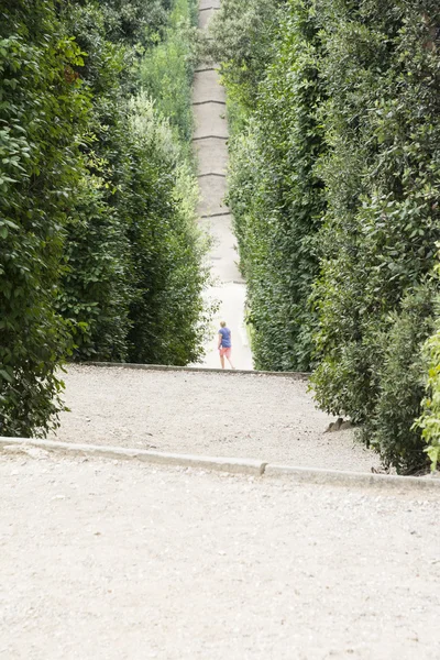 Weg in den Boboli-Gärten — Stockfoto