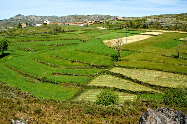 Campos Serra Freita Arouca Portugal — Fotografia de Stock