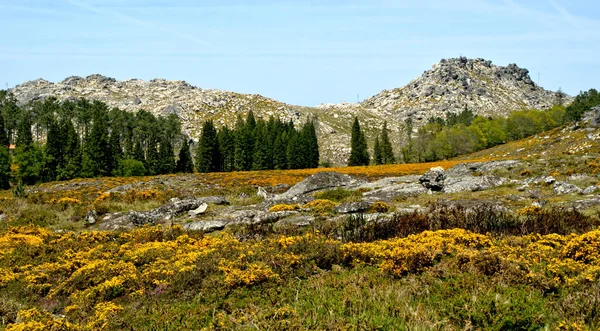 Trekking Geopark Arouca Portugal — Stock Photo, Image