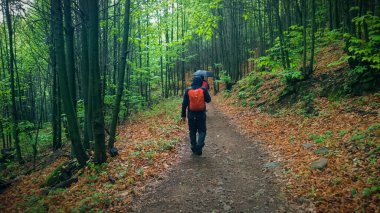 Jerte Vadisi, İspanya