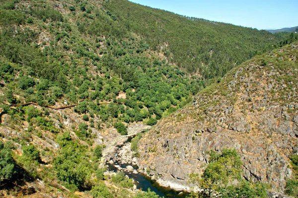 Paiva Gångvägar Arouca Portugal — Stockfoto