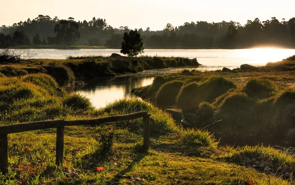 Scenary near river in rural area — Stock Photo, Image