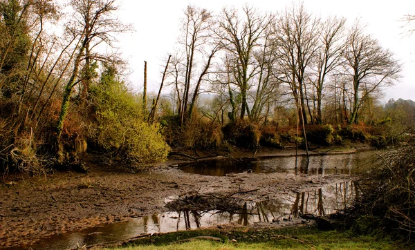 Kış manzara Lima Nehri yakınında — Stok fotoğraf