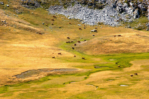 Vega de Liordes: A Hiker's Paradise in Picos de Europa, Spain