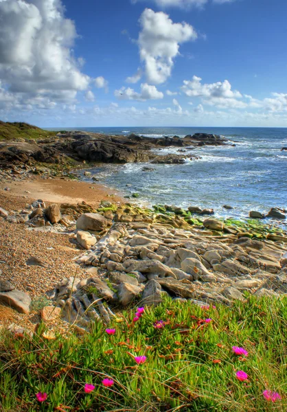 Rock beach v Vila Praia de Ancora — Stock fotografie