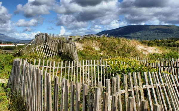 Promenade gjennom sanddynene på stranda – stockfoto