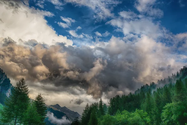 Céu nublado sobre a floresta — Fotografia de Stock