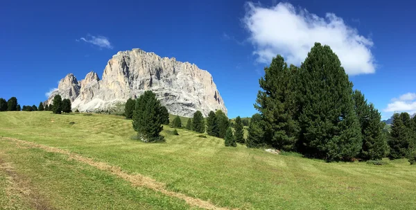 Dolomiterna, berg landskap i sommar — Stockfoto