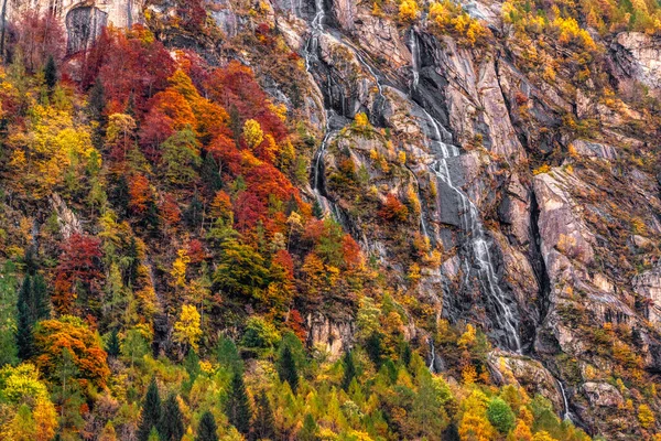 Разноцветные Леса Осенью Валь Мелло — стоковое фото