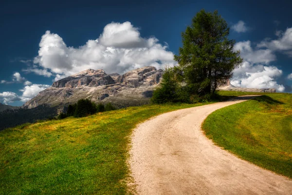 Sentier Montagne Avec Grand Panorama Sur Groupe Sella Alta Badia — Photo