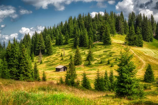 Floresta Colina Com Celeiro Solitário Alta Badia Dolomites Itália — Fotografia de Stock