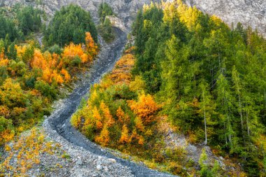 Sonbahar mevsiminin renkleri vahşi Val Veny, Aosta Vadisi 'ne