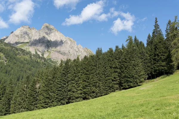 Dağlar, orman ve çayır dolomites içinde — Stok fotoğraf