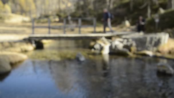 Doğa Bridge'de yürürken — Stok video