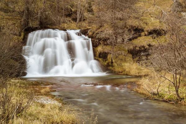 Cachoeira na floresta, Devero Alp — Fotografia de Stock