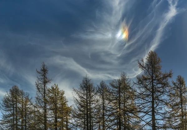 秋の空に parhelion — ストック写真