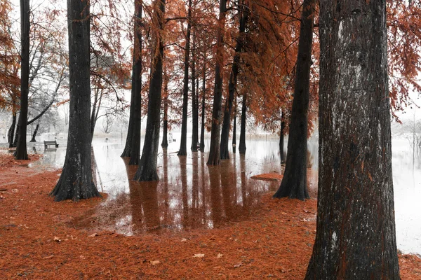 Varese Lake, overloop in het openbare park Zanzi — Stockfoto