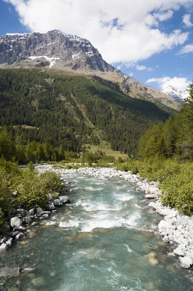Montagne e ritratto fluviale — Foto Stock