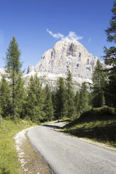 Ritratto delle Alpi italiane — Foto Stock