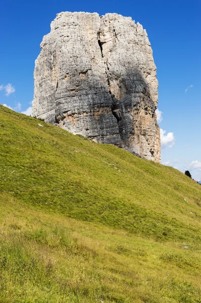 Stone in the meadow — Stock Photo, Image