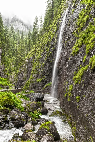 Водопад в ущельях Трентино — стоковое фото