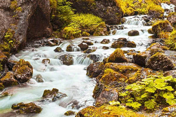 Rivière dans les gorges — Photo