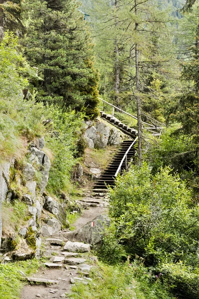 Mountain path with stair — Stock Photo, Image