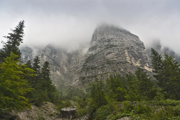 Mountain tops in the clouds — Stock Photo, Image