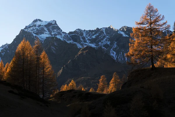 Devero 높은 산에서가 색상 — 스톡 사진