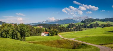 Appenzellerland, İsviçre Alpleri'nde pastoral manzara