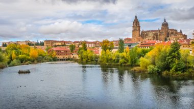 Salamanca Rio Tormes ve Katedrali, İspanya ile güzel manzara