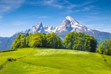 Watzmann dağın çayırlar Bahar, Berchtesgadener arazi, Bavyera, Almanya ile