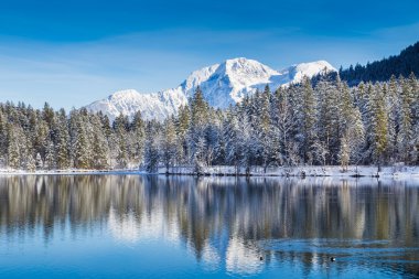 Pastoral Lake Hintersee kış, Berchtesgadener arazi, Bavyera, Almanya