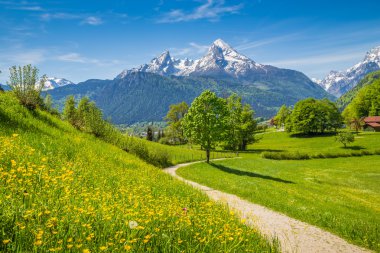 Idyllic spring landscape in the Alps with meadows and flowers clipart