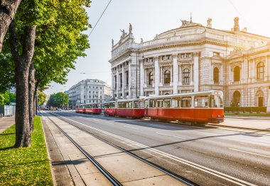 Wiener Ringstrasse Burgtheater ve tramvay gündoğumu, Viyana, Avusturya