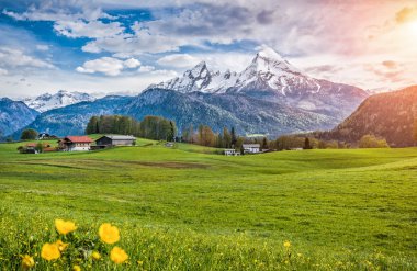 Yeşil çayırlar, çiftlik ve dağların, pastoral Alp yatay