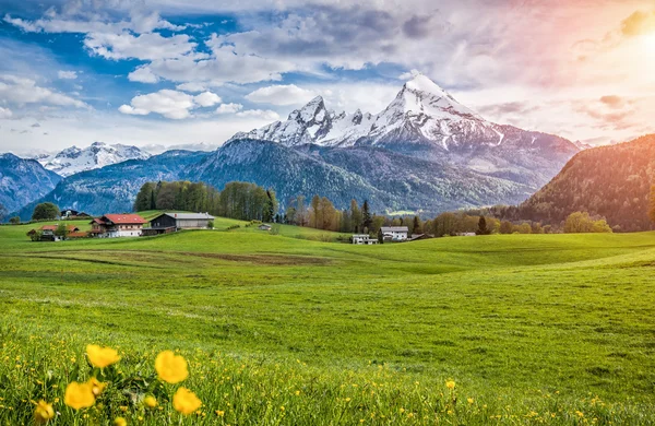 Paisaje alpino idílico con prados verdes, casas rurales y montañas nevadas — Foto de Stock