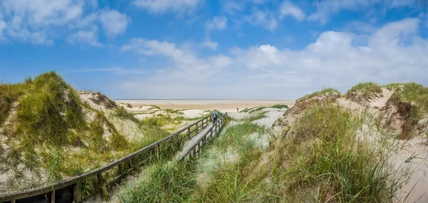 Vista idílica del paisaje europeo de dunas del mar del norte en la playa —  Fotos de Stock