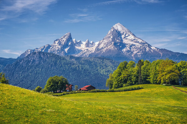 Idyllic alpine landscape with green meadows, farmhouses and snow-capped mountain tops 