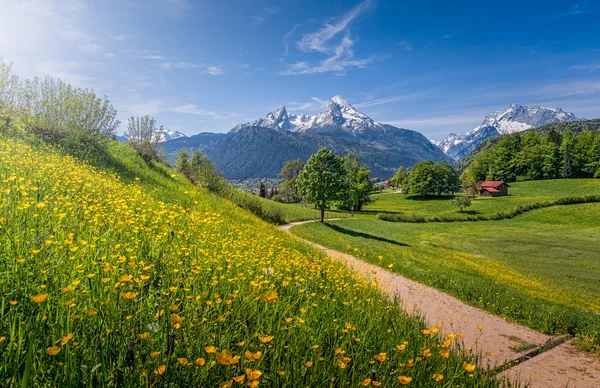 Idyllische alpine Landschaft mit blühenden Wiesen und schneebedeckten Berggipfeln — Stockfoto