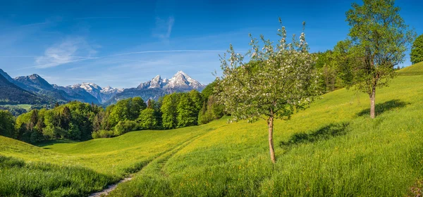 Frühlingshafte alpine Berglandschaft mit Blumen und blühenden Obstbäumen — Stockfoto