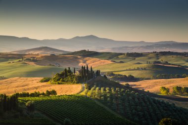 Doğal Tuscany manzaraya gündoğumu, Val d'Orcia, İtalya