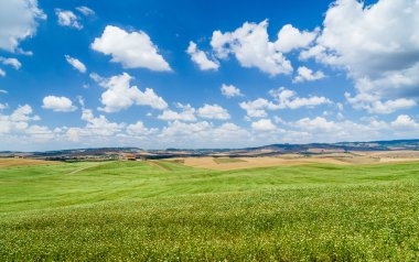 Val d'Orcia, İtalya tepeler haddeleme ile doğal Tuscany manzara